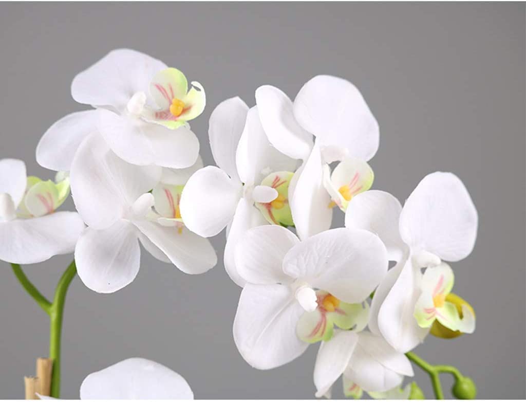 Phalaenopsis Künstliche Blume mit Keramikvase, Seiden-Gefälschte Blume für Zuhause, Hotel, Wohnzimmer, Eingangsdekoration, Kunststoff-Blumen-Mittelstück, Heimdekoration