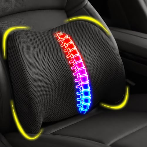 Lumbar Pillow with Washable 4D Mesh