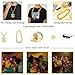 MOZAKA 80s 90s Hip Hop Costumes Outfit for Men Golden Chain Money Chain Dollar Sign Baseball Cap Punk Sunglasses Rapper Accessories.