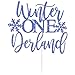 Blue Glitter Winter One Derland Cake Topper, Snowflake One/Our Little Snowflake is One, Funny Winter Snowflake Baby's 1st Birthday Party Decorations Supplies