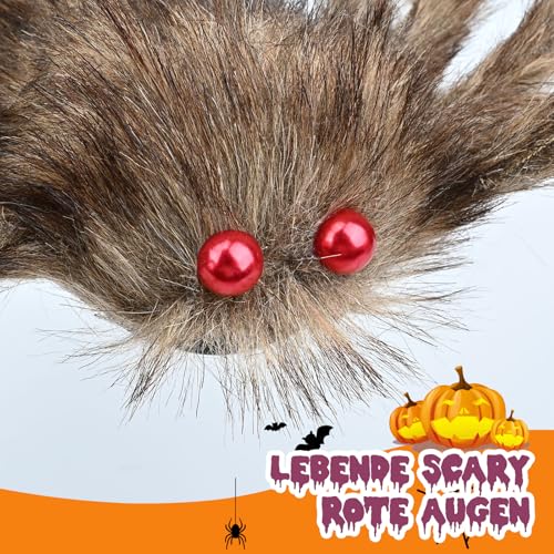 Halloween Deko Outdoor Große Spinne:50'' Gruselige Spinnen 60g Spinnennetze +10 Spinnen Garten Horror Dekorations Set, Riesenspinne für Tischdekoration Party Fenster Zubehör Outdoor Accessories