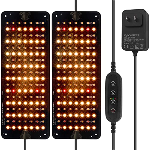 Find The Best Light Cycle For Veg Reviews & Comparison Katynel