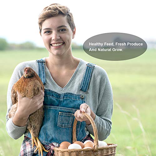 Luckyqworms Dried Mealworms, High-Protein Bulk Mealworms 22Lbs, 100% Non-Gmo Mealworm Treats For Birds, Chickens, Turtles, Fish, Hamsters And Hedgehogs All Natural Animal Feed #TOP6