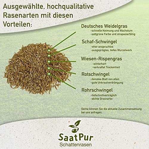 Foto von SaatPur® Rasensamen Schattenrasen 10kg für ca. 300 m², Mehrjährige Rasemischung aus mehreren Rasenarten, meistens 4 bis 5, satt grün, schnellkeimend, hitzetolerant, Neusaat und Nachsaat