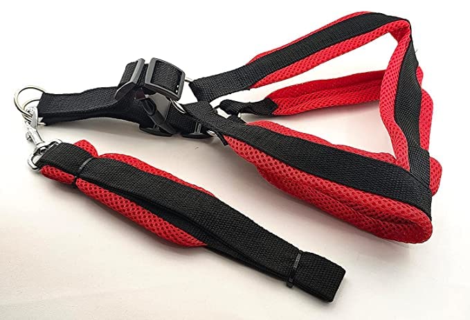 SR VISION Dogs Mesh Padded Harness and Leash - Soft Adjustable Nylon Vest Harness for Outdoor Walking | Harness and Leash Set for Medium and Large Dog (Black) (B0BLNYTMTW) Amazon Price History, Amazon Price Tracker