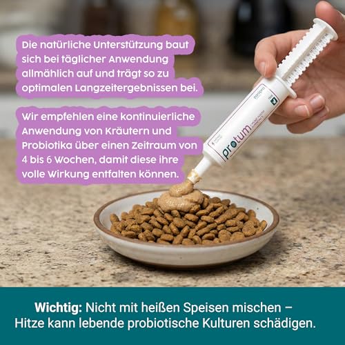 Zanipro Probiotische und Präbiotische Paste für Hunde und Katzen Gegen Durchfall Wurmkur, Natürliches Durchfallmittel für Hunde, 3 Milliarden KBE Probiotika Darmflora, Darmsanierung (30ml) Kürbis