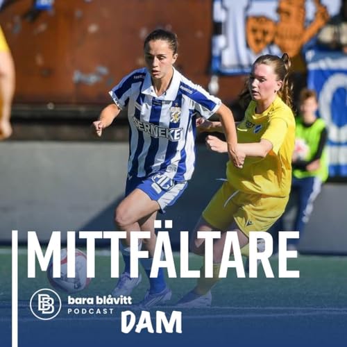 736. DAM Mittf&auml;ltare