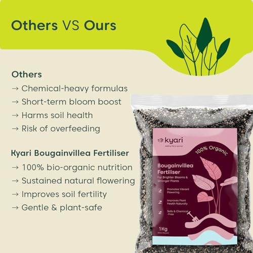 Image of Kyari Bougainvillea Fertilizer 1kg | Plant Food for More Flowers, Bright Colour Blooms & Healthy Vine Growth | Promotes Faster Flowering for Home Garden Plants