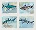 Shark Art Prints for Kids ((B) Set of Four, 8"x10")