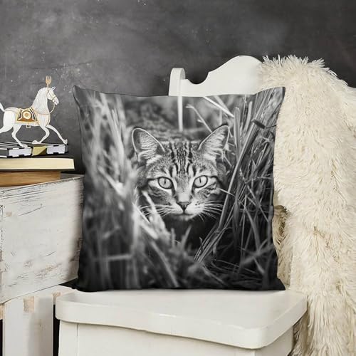 Coussin décoratif chat sur l'herbe pour un salon printanier