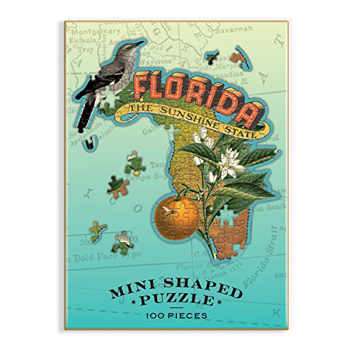 Wendy Gold Florida Shaped Mini Puzzle, 100 Pieces, 8” X 9.75” – Die-Cut Jigsaw Puzzle Featuring Art By Bestselling Artist Wendy Gold – Makes A Great Gift Idea #TOP7
