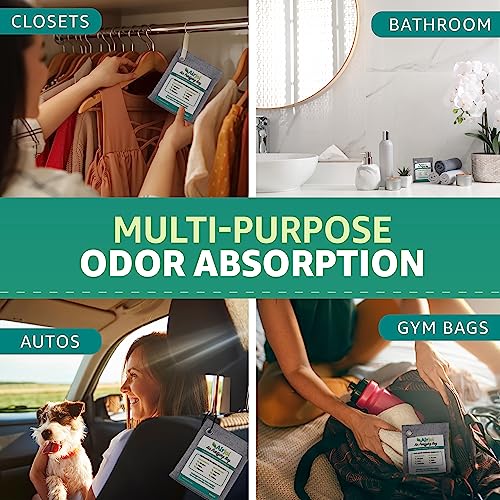 Airjoi Bamboo Charcoal Air Purifying Bag (Single Unit), Activated Charcoal Odor Absorber, Natural Air Freshener Removes Odor And Moisture, Odor Eliminator For Car, Closet, Bathroom, Pets, Shoes #TOP2