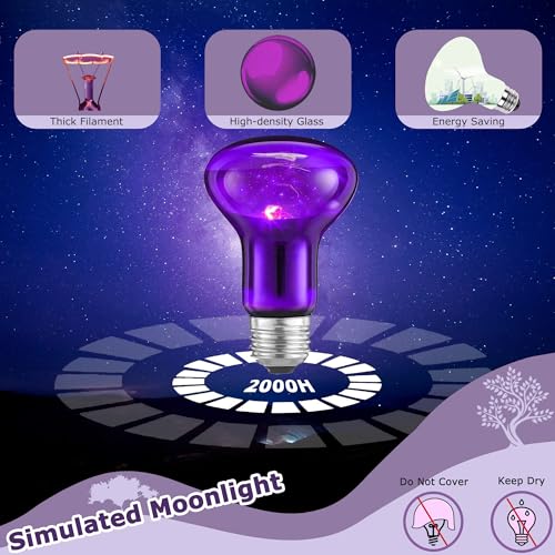 Image of 60W Reptile Night Light Bulb - Simulated Moonlight UVA Heat Lamp, Purple Basking Light for Bearded Dragons, Lizards, Snakes, Chameleons, Amphibians - 2-Pack (3.2 inch Diameter)