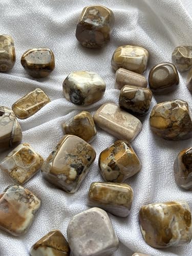Image of Tumbled Stones, Natural Crystal Healing Stones, Home Office Decor, Aquarium Decorative Pebbles, Vase Fillers (Cobra Jasper, 100)