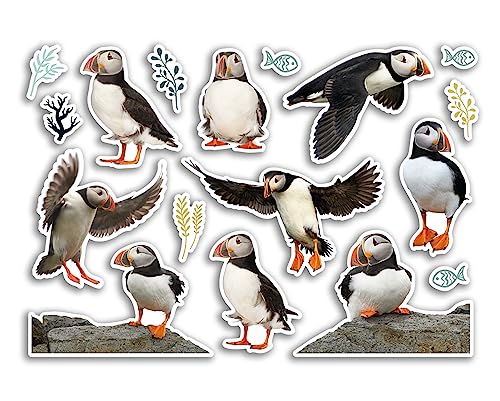 Feuille d'autocollants A5 en vinyle motif macareux – Oiseaux, animaux sauvages, scrapbooking, décoration de voyage, étiquette d'amis, filles, garçons, esthétique #80789