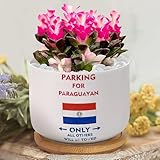 Macetas para suculentas con drenaje de la bandera de Paraguay, maceta de jardín personalizada para estacionamiento solo para paraguayos, macetas de cerámica para plantas, macetas pequeñas, macetas de