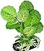 Blue Spotted Elephant Leaf Betta Plant - Great for Betta Fish and Use Betta Leaf Pad & Betta Log