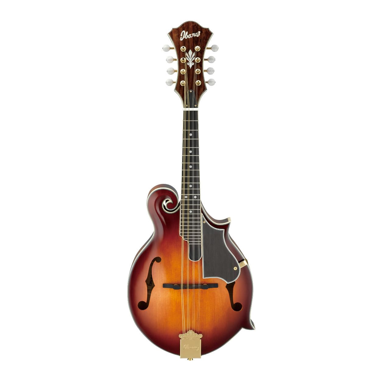 Amazon.com: Ibanez M700S 8-String F-Style Mandolin Acoustic Guitar