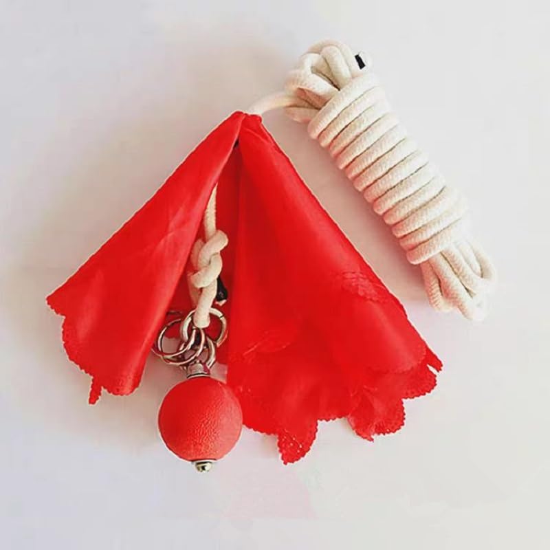 PJLANDI Rubber Weight Throw Small Exercise Ball Meteor Hammer Soft Fitness Equipment Martial Arts Kungfu Practice with Rope Dart