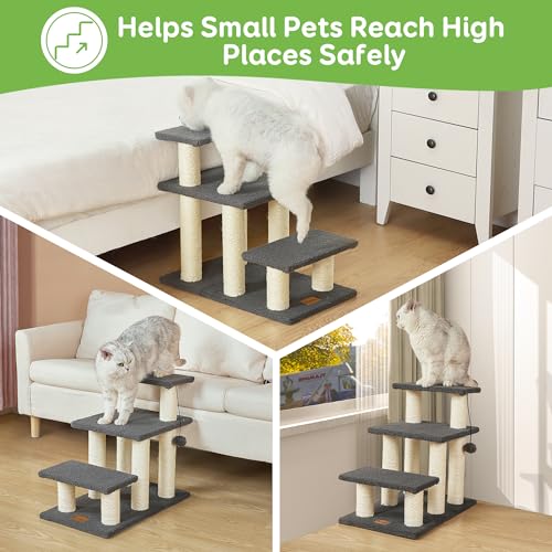 Cat Stairs & Scratching Post