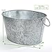 Mind Reader Ice Beverage Bucket for Parties, Wine Bucket, Baby Photos, Galvanized Metal, 19.5