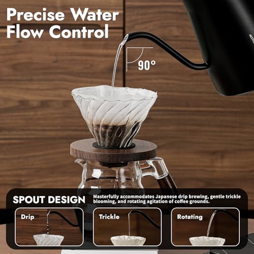 Gooseneck Electric Kettle Stainless Steel 27oz Temperature Control Pour Over Coffee and Tea Black
| 27oz Electric Kettl