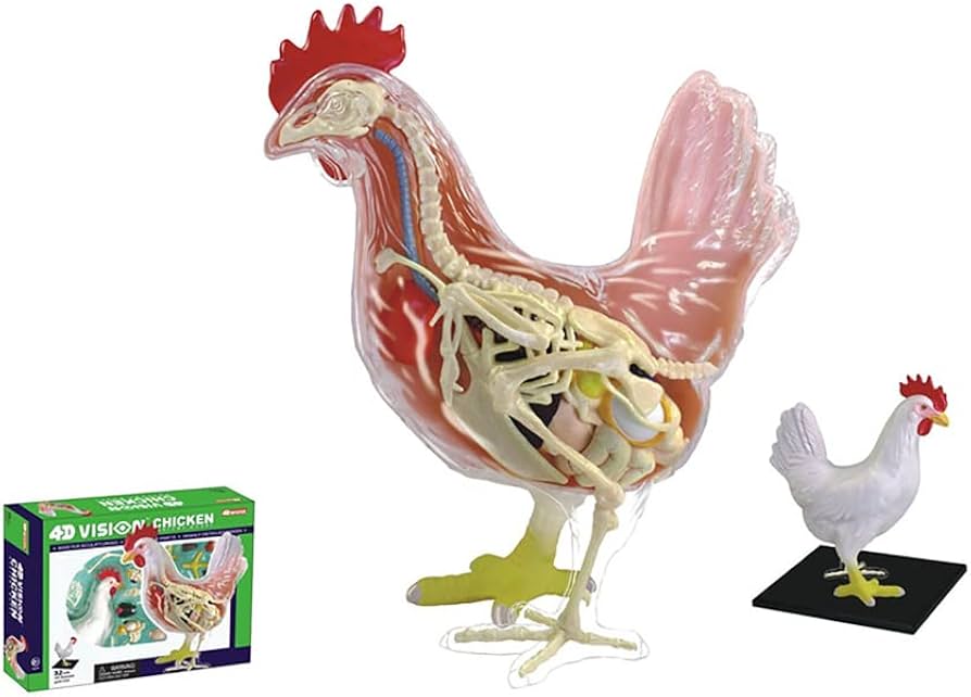 51W6pmu7QzL._AC_UF894,