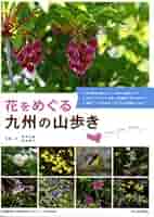 【中古】 花をめぐる九州の山歩き 山に行くとこんなにすてきな花と出合える！/熊本日日新聞社/宮本文雄 Amazon.co.jp: 花をめぐる九州の山歩き: 山に行くとこんなに
