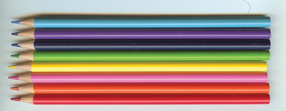 Anatomy Color-in Flash Cards: Ultimate 2-in-1 Learning Tool - Image 5