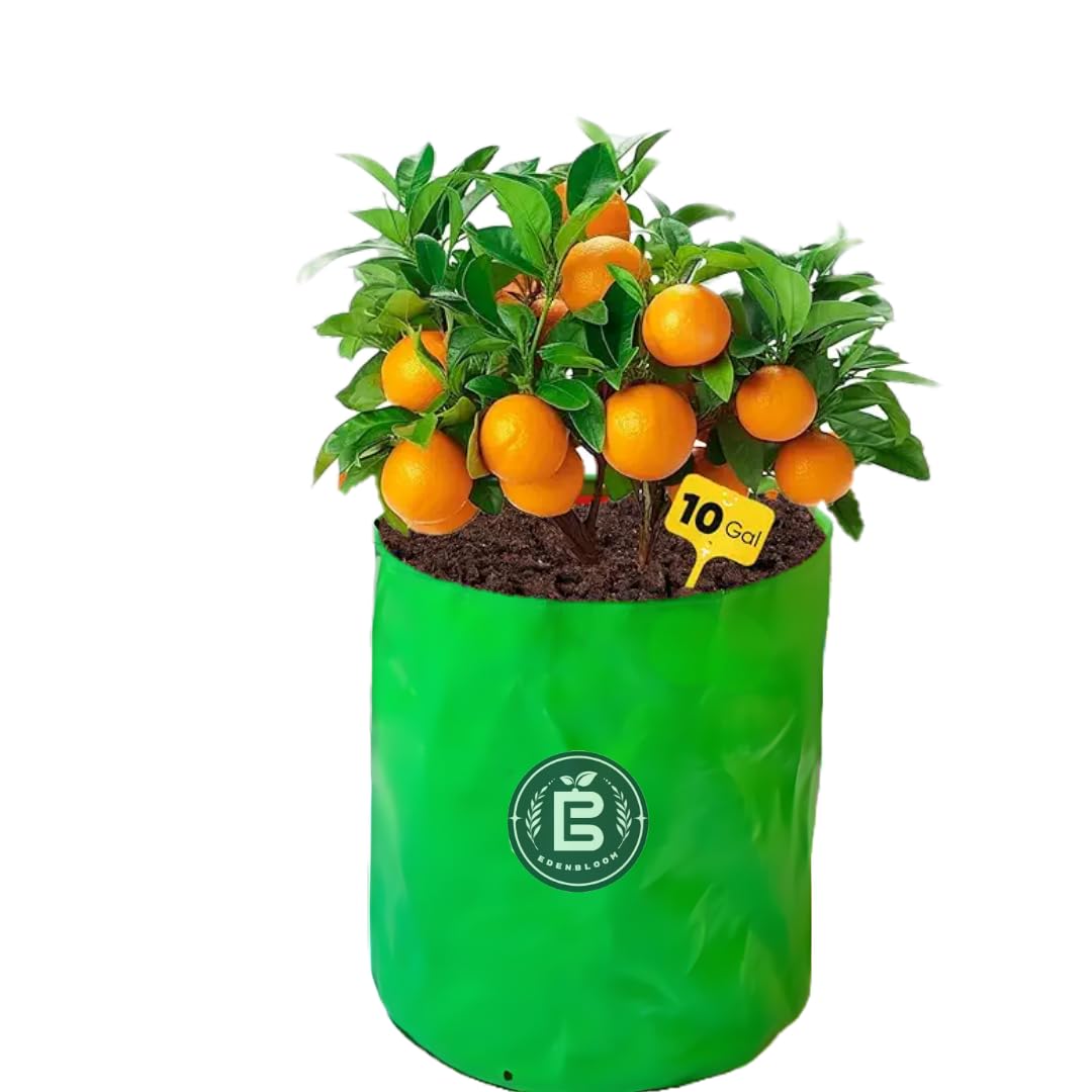 EDEN BLOOM - Green Grow Bag (18x18 inch) for Terrace Gardening Large Plants and Tree to Grow Leafy Vegetable and Hybrid Plants and Tree Bag (Pack of 1)