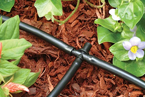 image for Rain Bird BT25/30PSX Drip Irrigation Universal 1/4