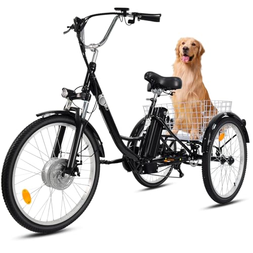 Fanesen E-Bike Dreirad für Erwachsene, 24 Zoll Elektro Dreirad für Herren und Damen 3 Rad Elektrofahrrad mit 36V 15Ah Lithium Akku, 250W Motor Elektrofahrrad, LCD-Display, Geschwindigkeit 25 KM/H