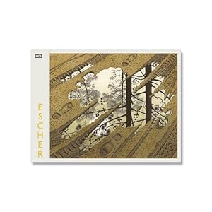 Beroemde M.C Escher Poster En Prints Abstracte Creativiteit Kunst Aan de Muur M.C Escher Canvas Schilderij M.C Escher Foto’s Voor Home Decor 60x80cmx1 Geen Lijst