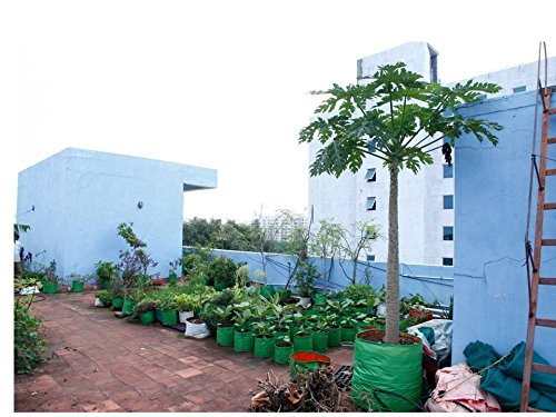 Image of Bio Blooms Agro India Pvt.Ltd. 24 x 24 Inch HDPE Plant Grow Bags for Terrace Gardening | Pack of 10 | Green & Orange Color | Outdoor Use