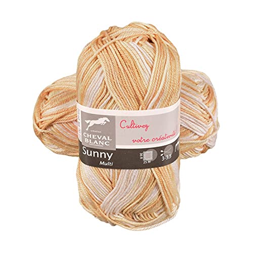 Laines Cheval Blanc - SUNNY MULTI fil à tricoter 100% coton 50g - Pelote de fil été