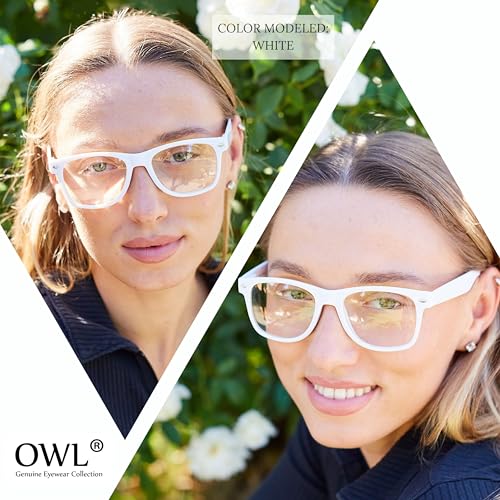 Image of OWL Retro Style Sunglasses 80's Classic Vintage Unisex Nerd Colored Frame