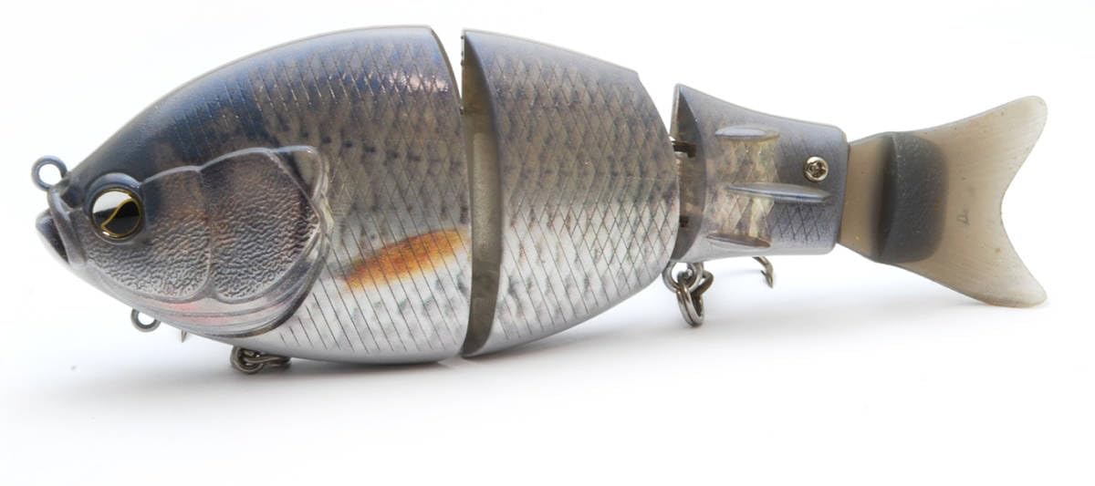 レイドジャパン gダッシュ 限定カラー 金森隆志