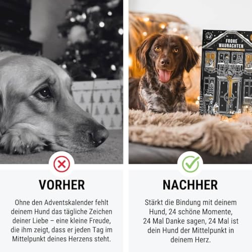 Tales & Tails Adventskalender für Hunde 24 Türchen - perfekt für eure Bindung in der Vorweihnachtszeit - Leckerli, softes Trockenfutter, funktionale Snacks