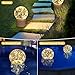 DeeprBlu Pool Chlorine Floater with Solar Ball Light, Floating Chlorine Dispenser for 3'' Chlorine Tablets, Chlorine Tablet Floater Chemical Dispenser Easy Opening, Bromine Tablet Holder for Pool, Spa