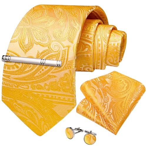 Image of DiBanGu Silk Floral Ties for Men Woven Paisley Necktie and Tie Clip Handkerchief Cufflinks Set for Party Wedding