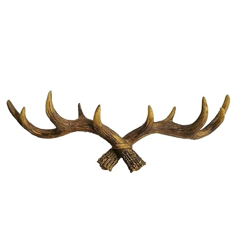 Deer Antler Wall Decorations Amazon Co Uk