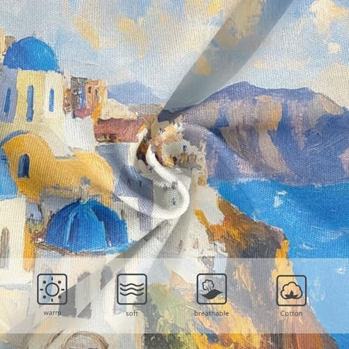 Vivid Oil Painting Santorini Toddler Girls's Underwear 2T 202c02323