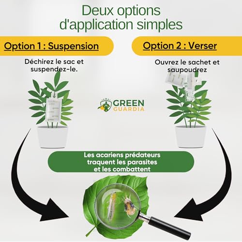 Raubmilben contre les Thrips sachet Acarien Prédateur Biologique GREEN GUARDIA Plante d'Intérieur - 3