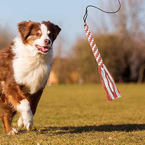 ASOCEA Reizangel für Hunde - Profi-Spielzeug für Ultimativen Spielspaß und Körperliche Auslastung - Für Kleine, Mittlere und Große Hunde