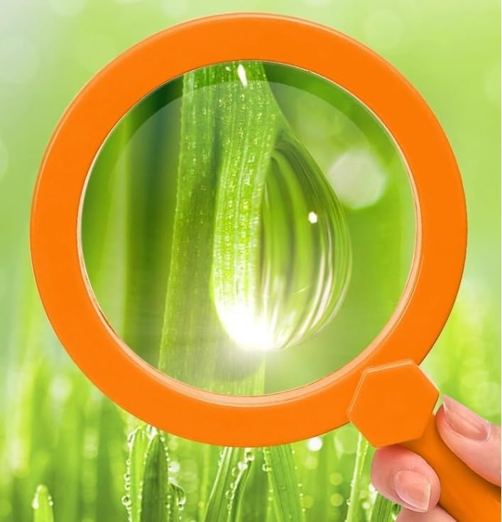 3X Handheld Reading Magnifier Acrylic Optical Lens Student Learning