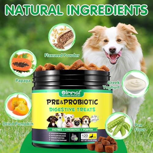 HRAMEX Hunde Probiotika als Leckerli(Entenaroma 120PCS),Hund Darmflora aufbauen,saisonale Allergien,aufgeregter Magen Linderung verbessern die Verdauung,leckere Snacks(300g)