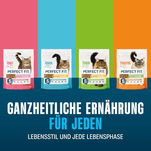 PERFECT FIT Adult Trockenfutter für erwachsene, aktive Katzen ab 1 Jahr - Rind, 750g (6 Beutel)