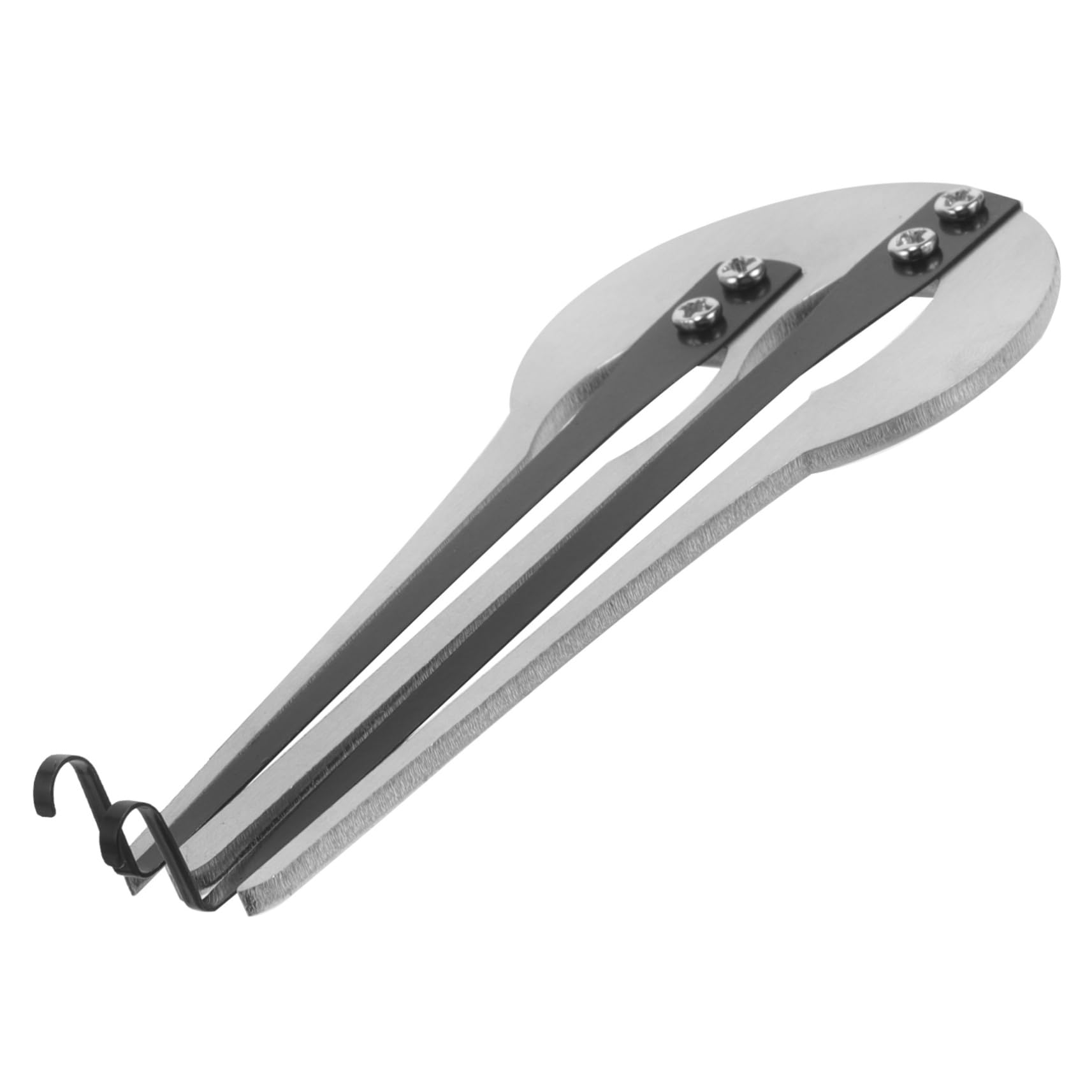 BESPORTBLE Portable Jaw Harp National Musical Instrument Easy Learning Mini Mouth Harmonica for Travelers