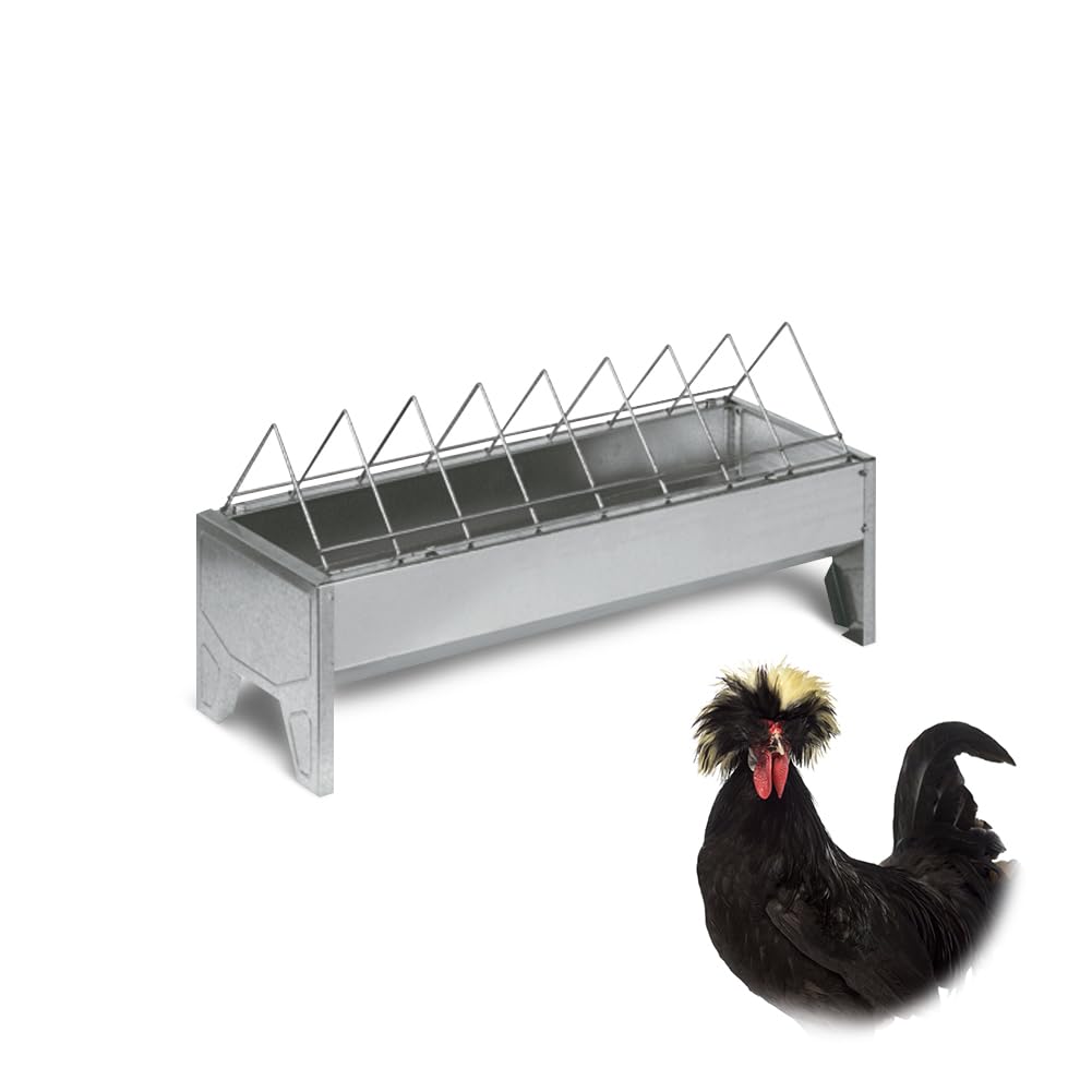 Comedero para gallinas metálico de 50 cm. Comedero para faisanes, Pavos, gallinas y Aves de Corral. (1)