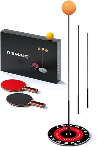 ibasenice Juego de palas de entrenamiento de tenis de mesa, pelotas de pong, juguetes de pingpong de dibujos animados con paleta de mano y ojo,